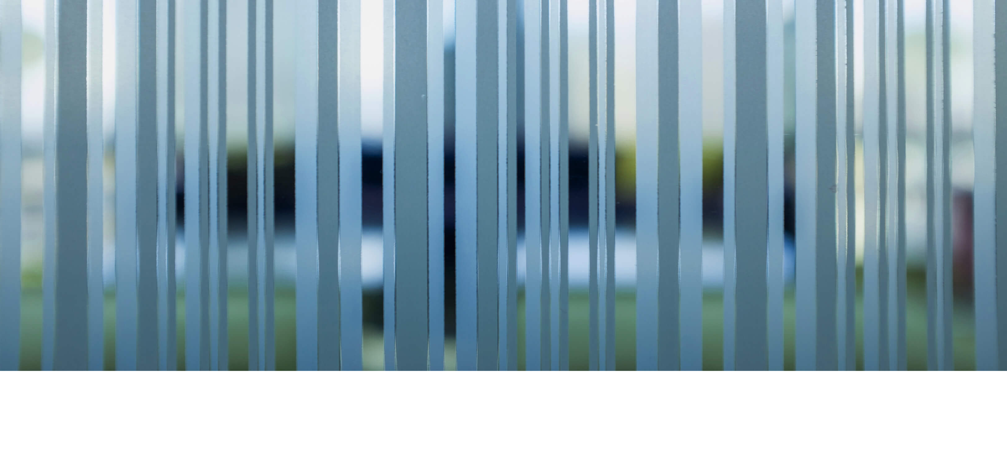 portfolio-details.jpg
